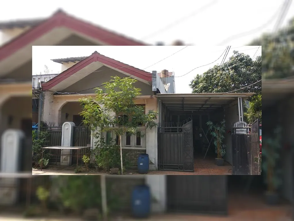 WhatsApp Image 2023-01-12 at 10.27.23.jpeg